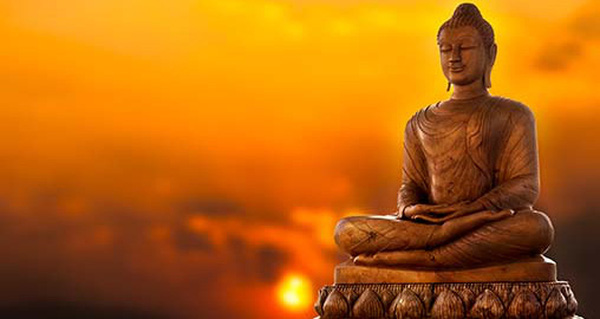 Câu chuyện con đom đóm