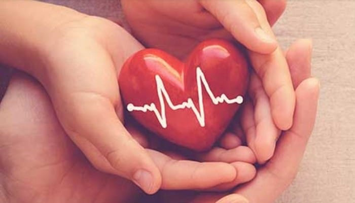 Sức khỏe là tất cả, lúc có không giữ, mất đừng tìm