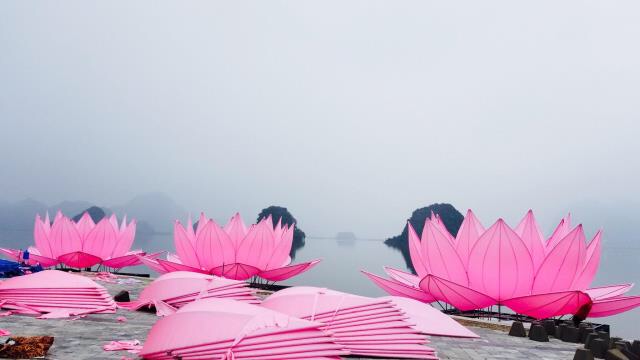 Hà Nam: 7 đoá sen khổng lồ sắp sáng trên hồ Tam Chúc