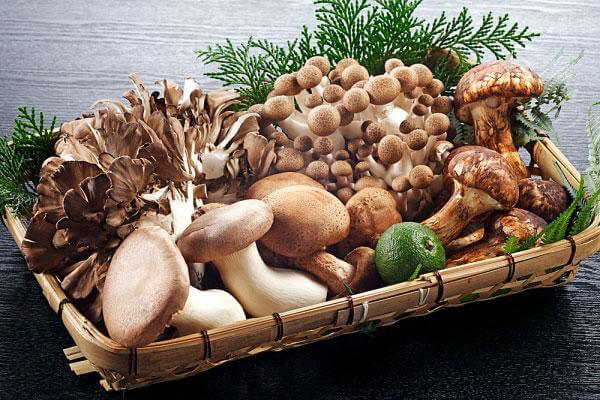 Ăn nấm có lợi cho sức khỏe?