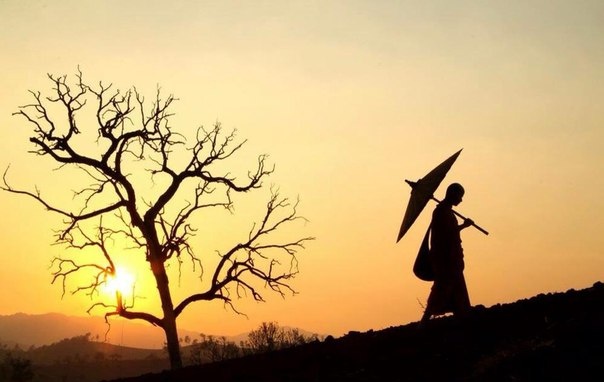 Hãy biết buông bỏ cái tôi để trở thành người bản lĩnh