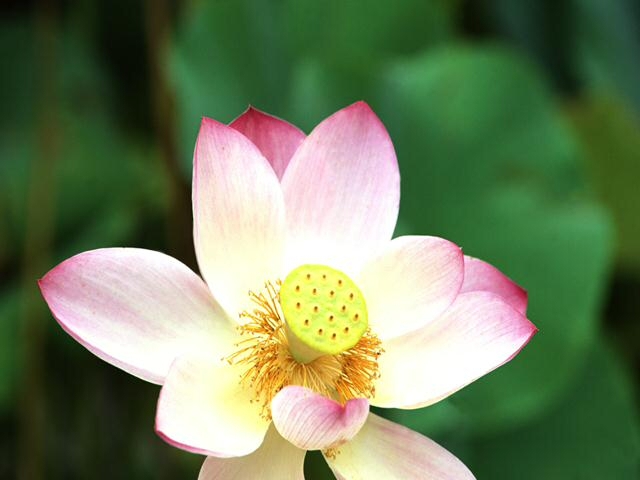 Hãy bỏ qua lo lắng và sợ hãi