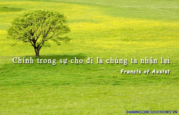 Cho và nhận