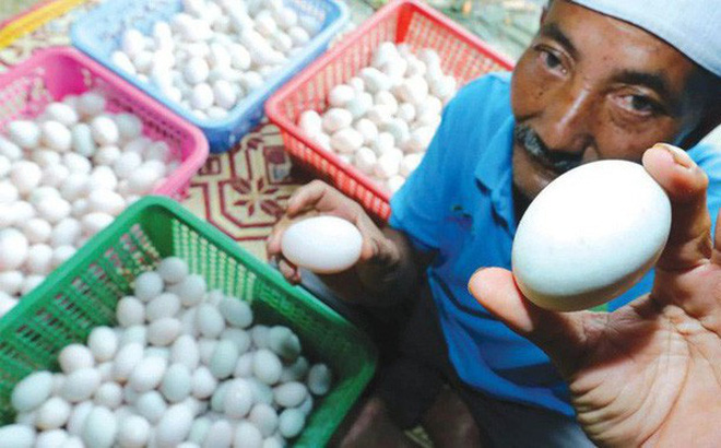 Ông lão bán trứng