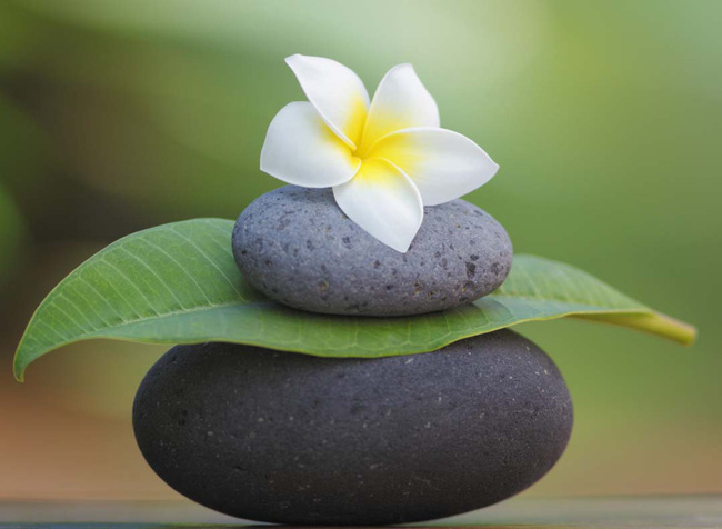 Hãy sống một cách an nhiên tự tại, đừng theo đuổi những thứ vật chất phù phiếm