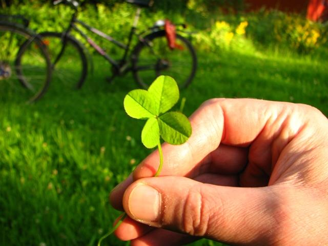 Xin hãy trân quý nếu gặp được người thấu hiểu trái tim bạn