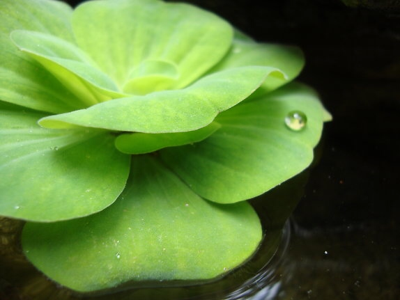 Câu chuyện phú ông và người nghèo