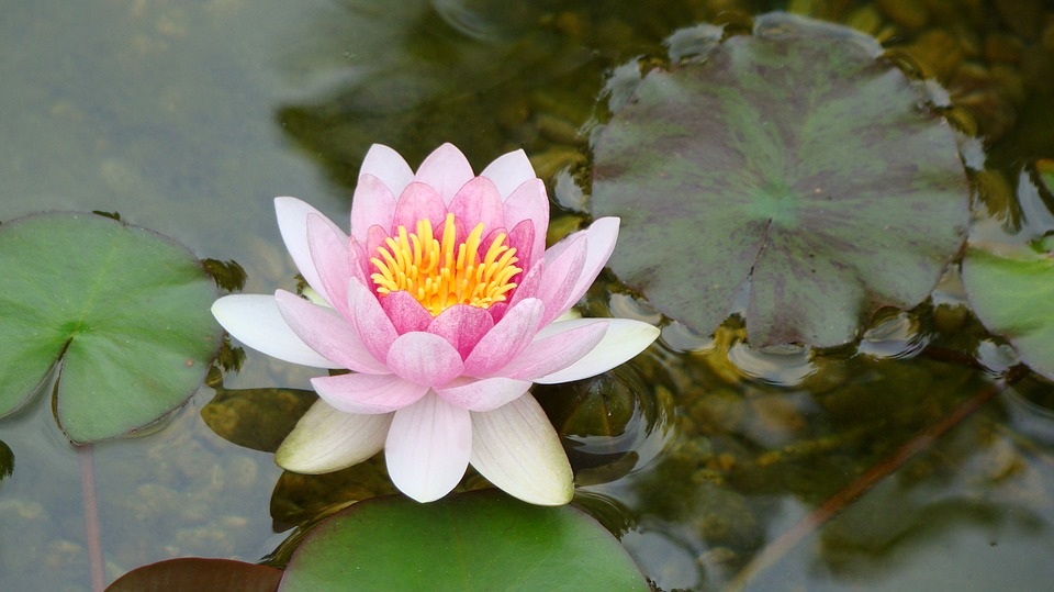Thời gian dạy chúng ta rằng