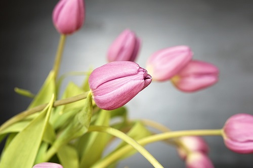 Biết đủ