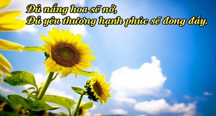 Hạnh phúc từ những điều bình dị nhất