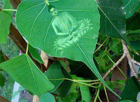 Tâm Bồ Đề là gì ?