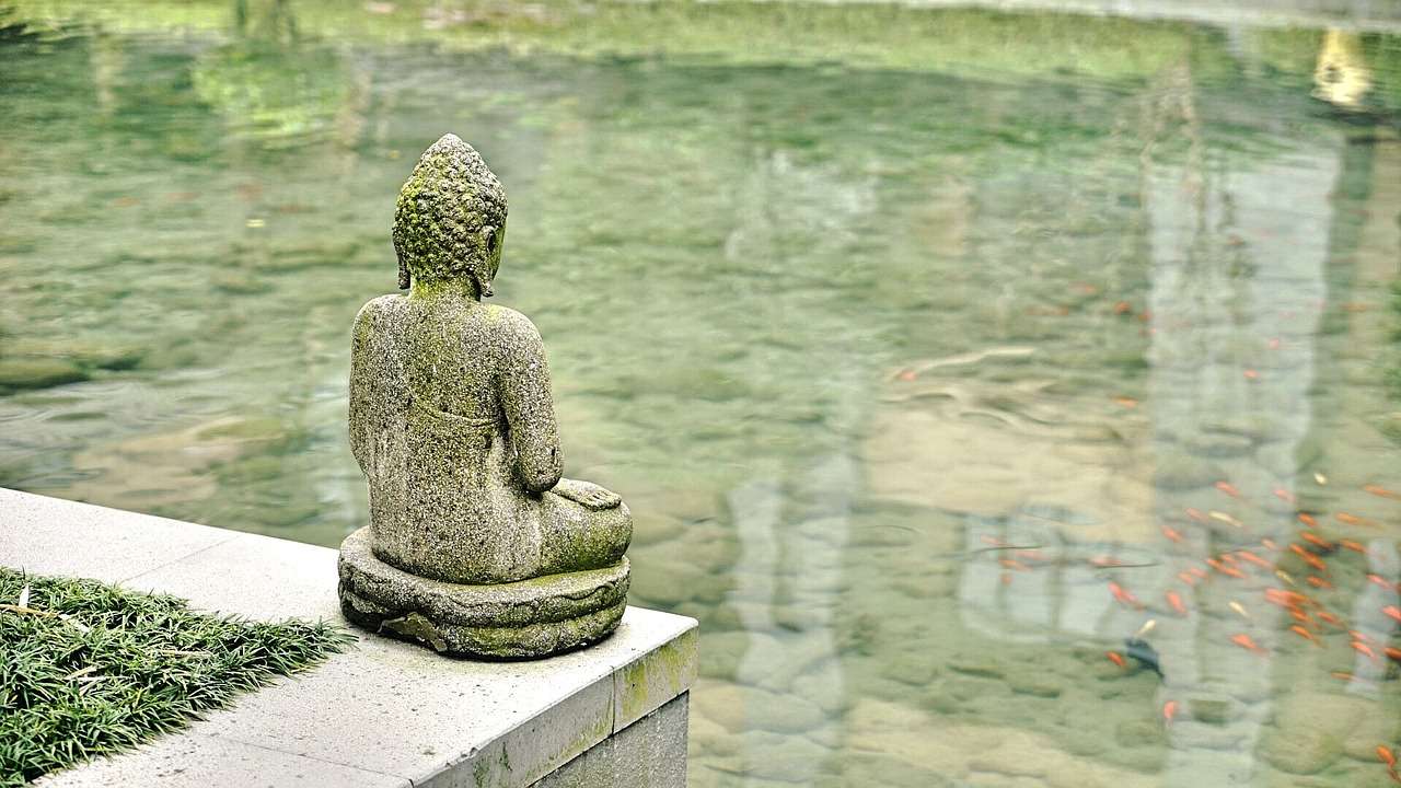Biết ơn vì bạn đang sống