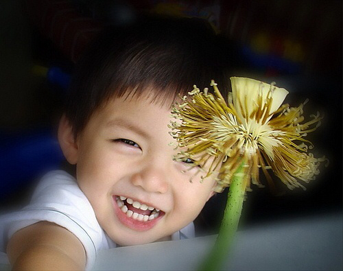 Làm gì để tăng khả năng đề kháng cho cơ thể