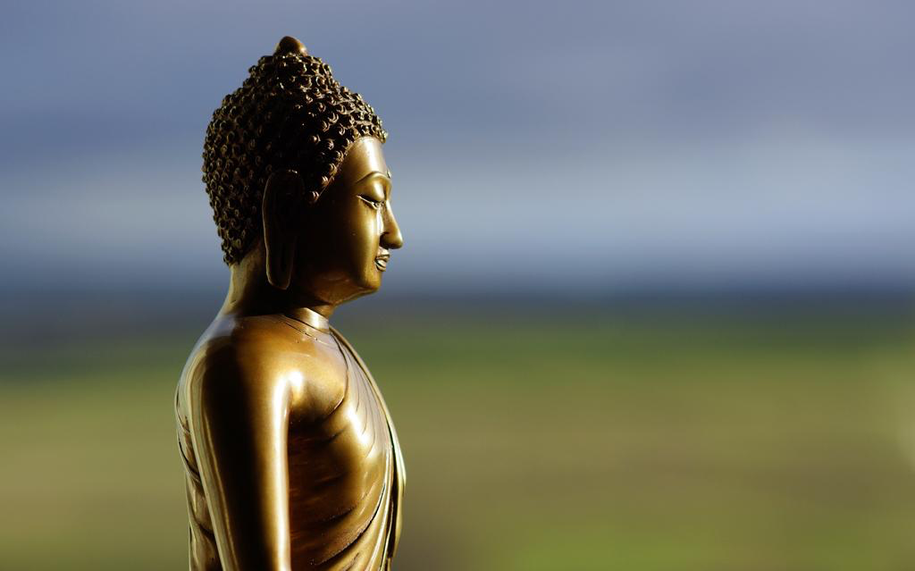 Đã biết vô thường, sao còn phiền não?