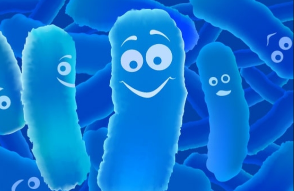 Có cần bổ sung probiotic sau khi uống kháng sinh