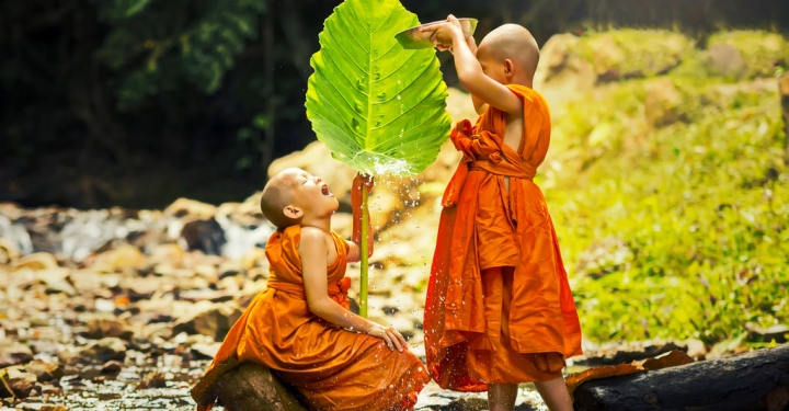 Khổ vui qua mắt kẻ mê người tỉnh