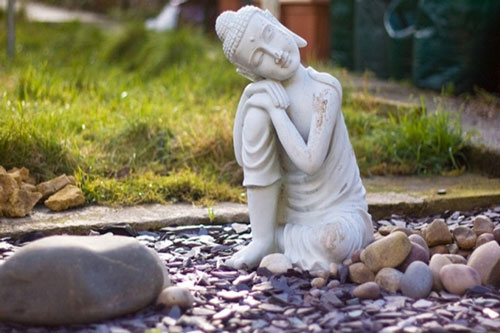 Người ngốc là . . . 