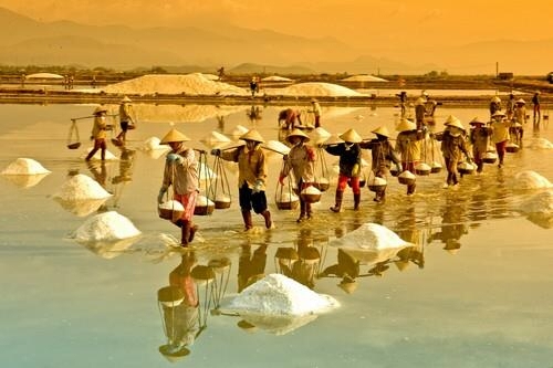 Muối cuộc đời