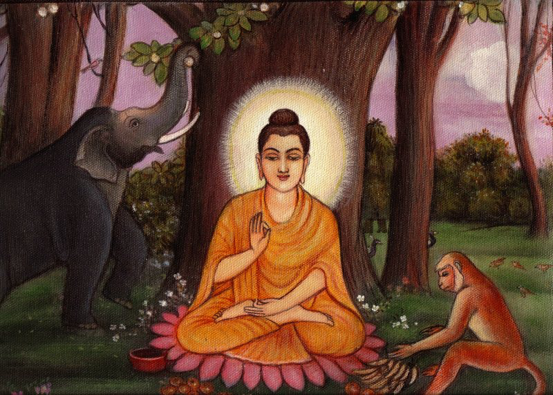 Từ bỏ sự giết hại