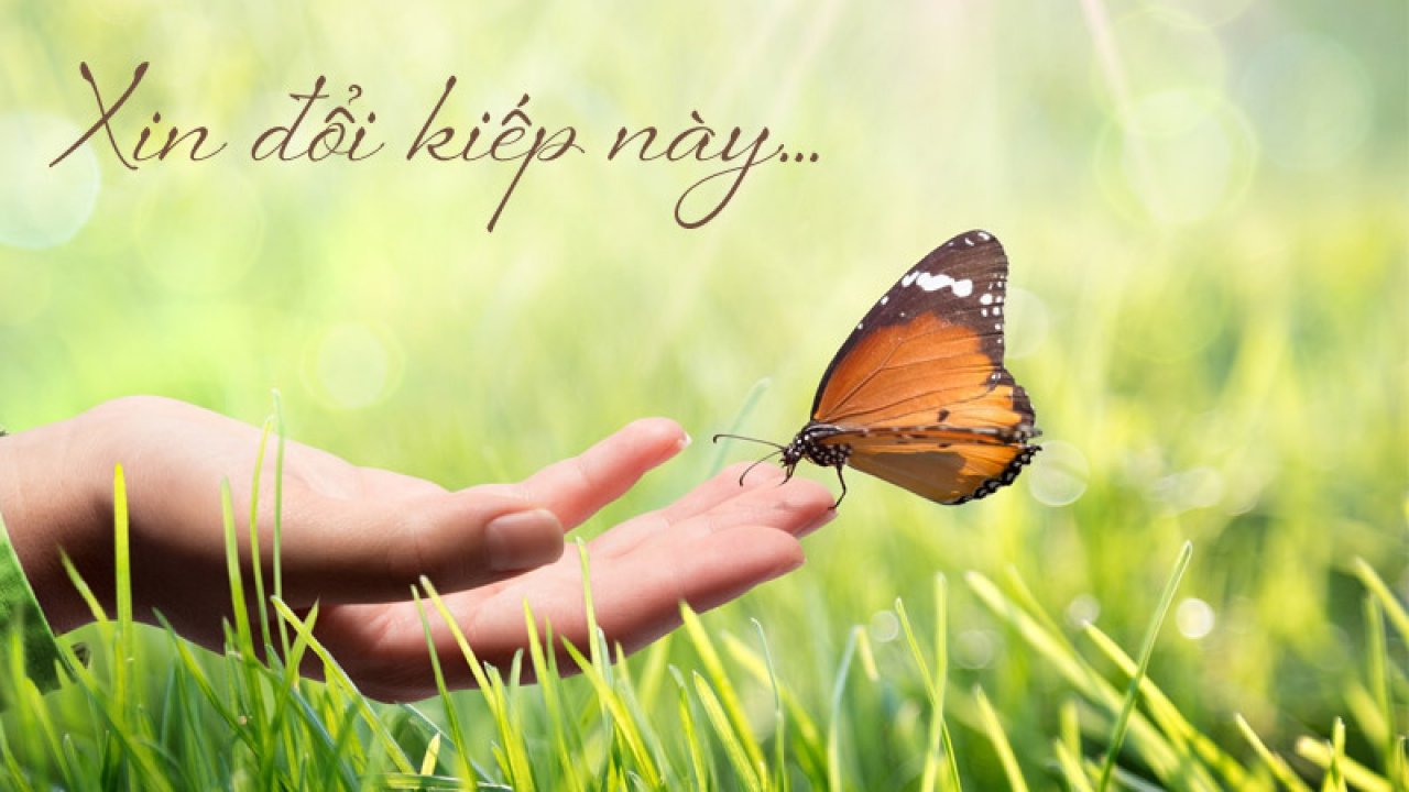 Bài thơ thấu Đạo Phật của cô bé 14 tuổi