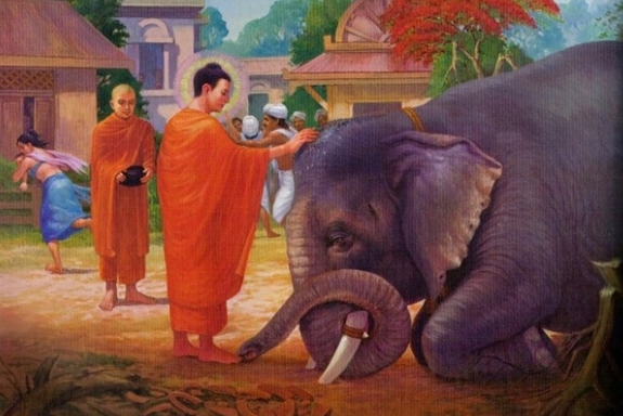 Nghiệp sát sinh hại vật dẫn đến quả khổ đau