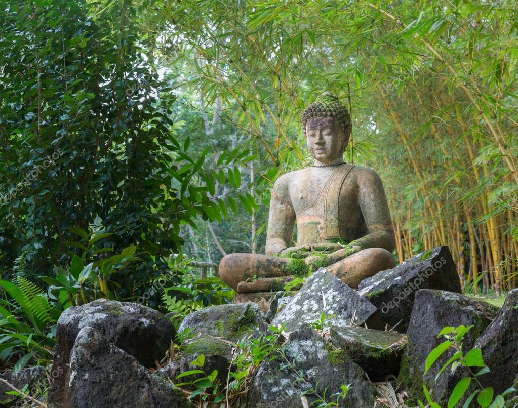 Sinh thái học và tấm lòng của con người