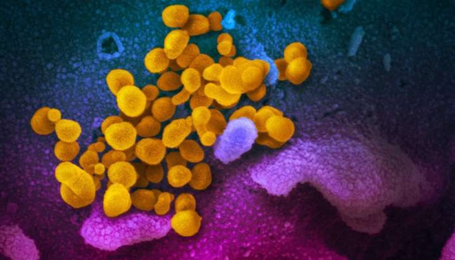 Virus SARS-CoV-2 có thể bám trên đồ vật bao lâu?