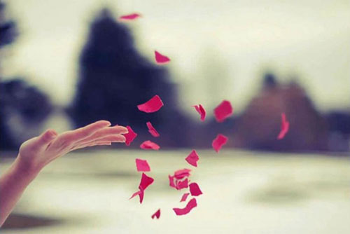 Buông bỏ 3 điều để được bình an