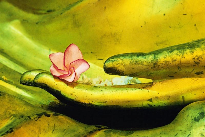 Do đâu mà khổ đau, luân hồi sinh tử có mặt