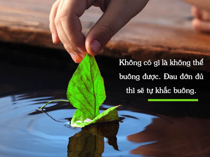 Câu chuyện ý nghĩa – đau đớn đủ sẽ tự khắc buông