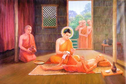 Đối diện bệnh khổ là phương pháp tu