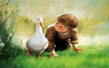 Đừng vội vã