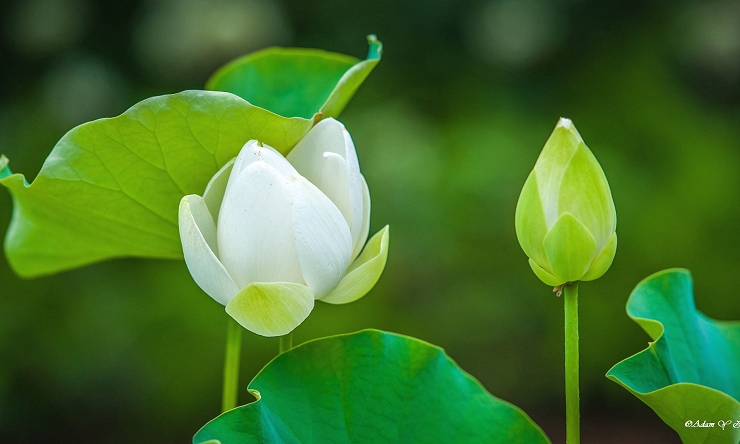 Những điều bạn nên buông bỏ để có cuộc sống hạnh phúc