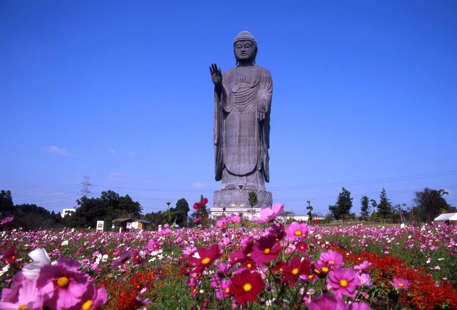 Người giỏi nhẫn nhịn chính là người khôn ngoan nhất