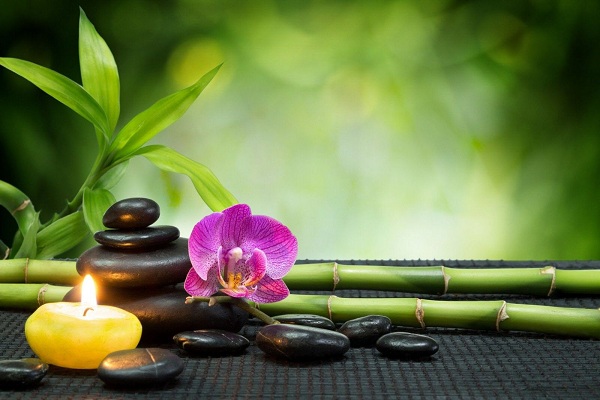 Hãy sống như đời hoa