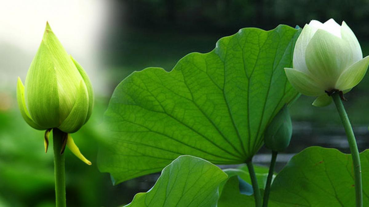 7 bí quyết để có cuộc sống vui vẻ