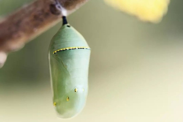 Bài học về sinh tồn 