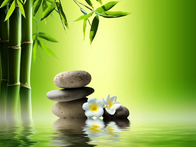 Hãy sống cho hài hòa trong sáng