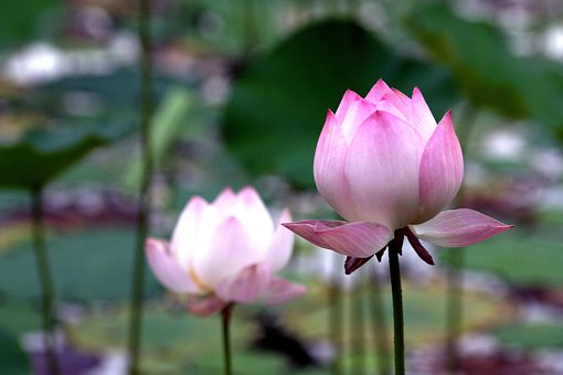 Vài điều tâm niệm