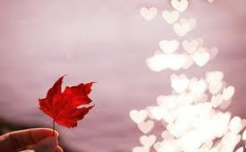 Kiến trúc độc đáo của ngôi chùa được kết thành từ hàng triệu mảnh ve chai