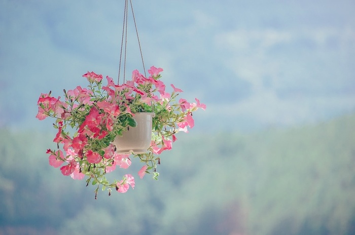 Thứ duy nhất giúp chúng ta vượt qua gió bão cuộc đời là một trái tim thanh tĩnh và an định