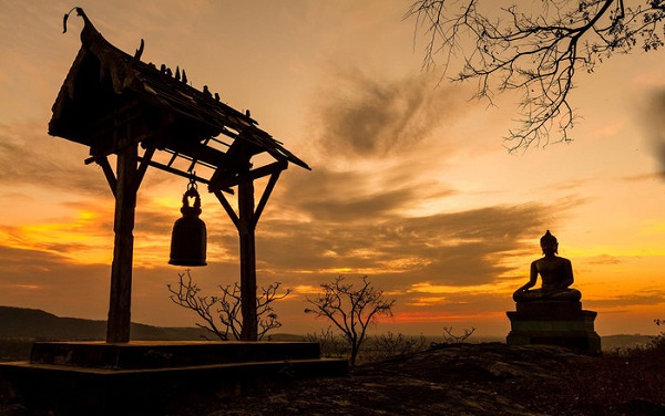 Cậu bé và chim bồ câu