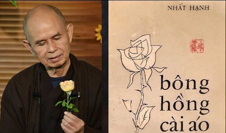 Thiền sư Thích Nhất Hạnh chia sẻ thêm về “Bông hồng cài áo”