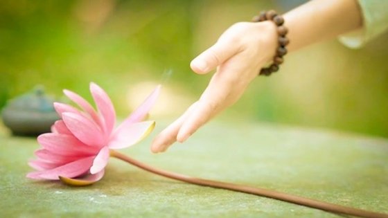 5 điều cần học để sống tốt hơn