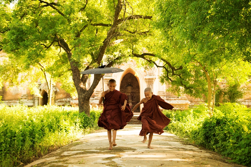 Hai viên gạch xấu xí