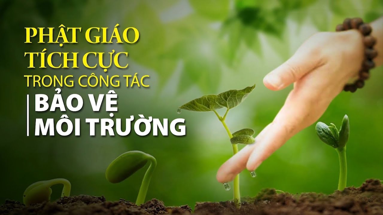 Giáo lý Phật giáo là nguồn năng lượng bảo vệ môi trường