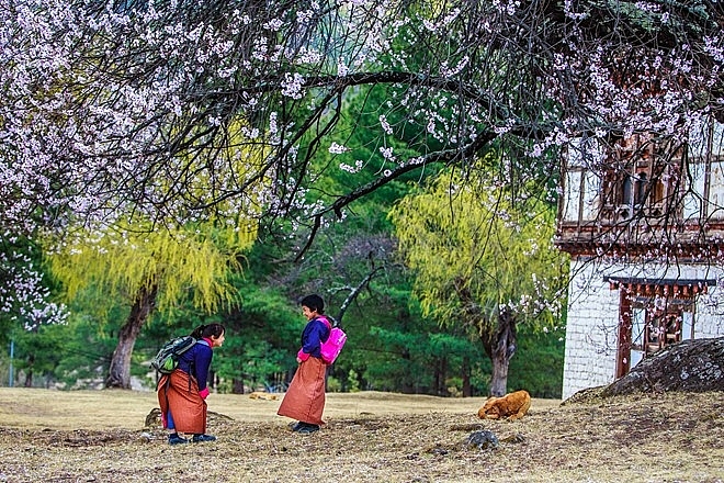 Bhutan giống như xứ sở thần tiên qua lời kể của du khách Việt 