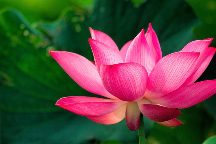Tại sao chúng ta vẫn thường . . .? 