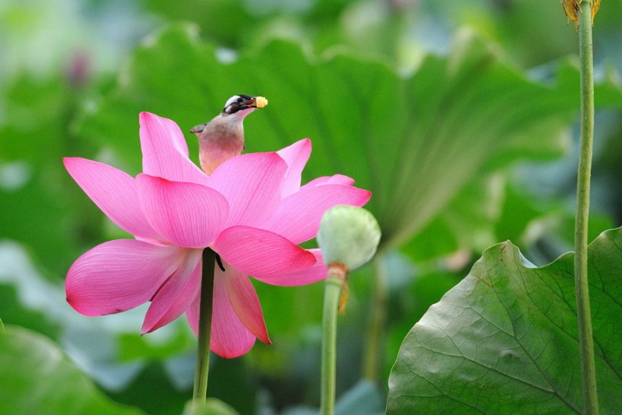 Bí quyết dùng người tài của người xưa