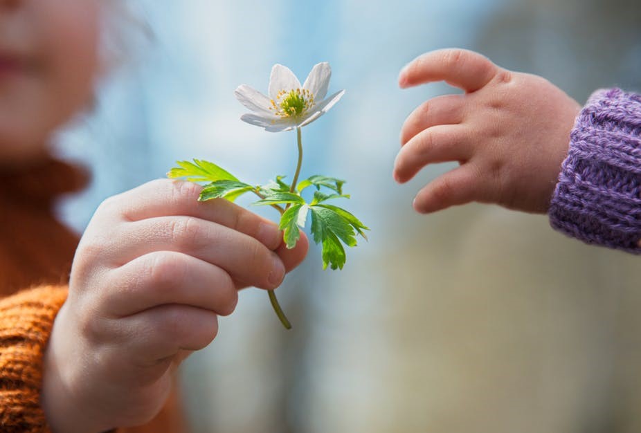 Đừng đợi có tiền mới báo hiếu cha mẹ.